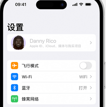 泸州appleID维修服务iPhone设置中Apple ID显示为灰色无法使用 