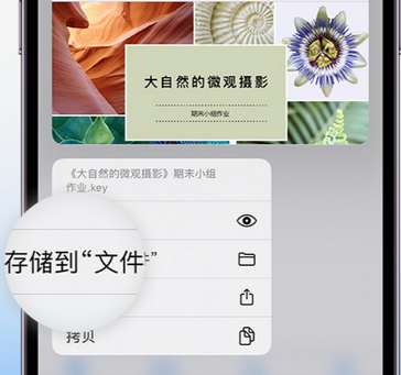 泸州apple维修中心分享iPhone文件应用中存储和找到下载文件