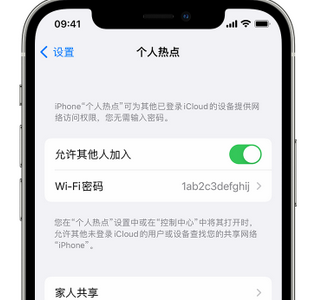 泸州apple服务站点分享iPhone上个人热点丢失了怎么办 