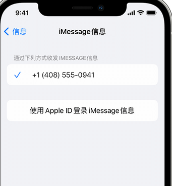 泸州apple维修iPhone上无法正常发送iMessage信息 