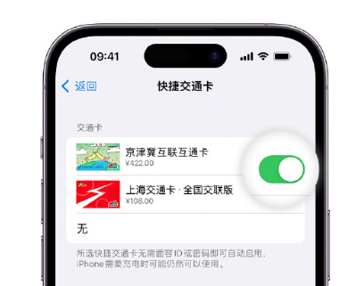 泸州apple维修点分享iPhone上更换Apple Pay快捷交通卡手绘卡面 