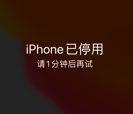 泸州苹果手机维修分享:iPhone 显示“不可用”或“已停用”怎么办？还能保留数据吗？ 