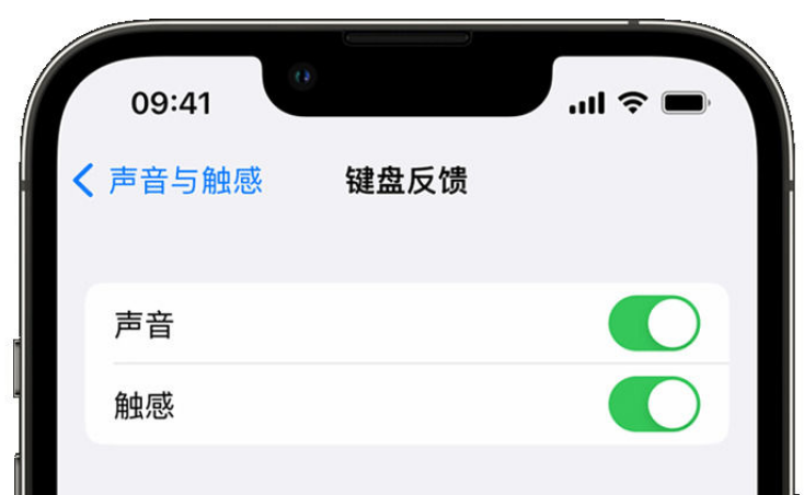 泸州苹果手机维修分享iPhone 14触感键盘使用方法 