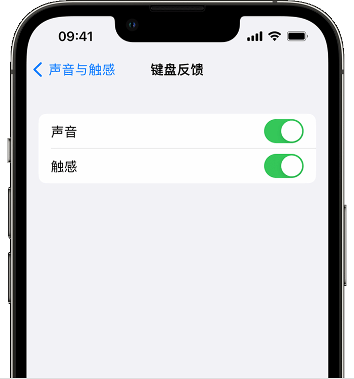 泸州苹果14维修店分享如何在 iPhone 14 机型中使用触感键盘 