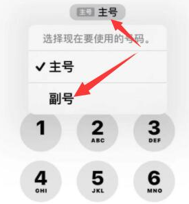 泸州苹果14维修店分享iPhone 14 Pro Max使用副卡打电话的方法 