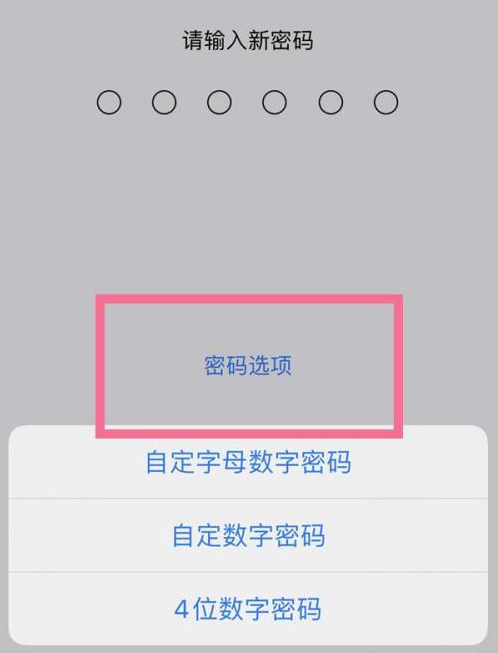 泸州苹果14维修分享iPhone 14plus设置密码的方法 