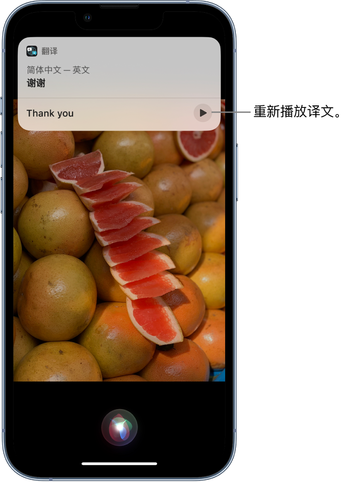 泸州苹果14维修分享 iPhone 14 机型中使用 Siri：了解 Siri 能帮你做什么 