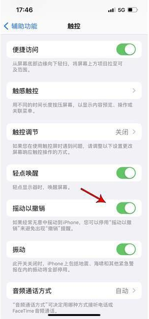 泸州苹果手机维修分享iPhone手机如何设置摇一摇删除文字 