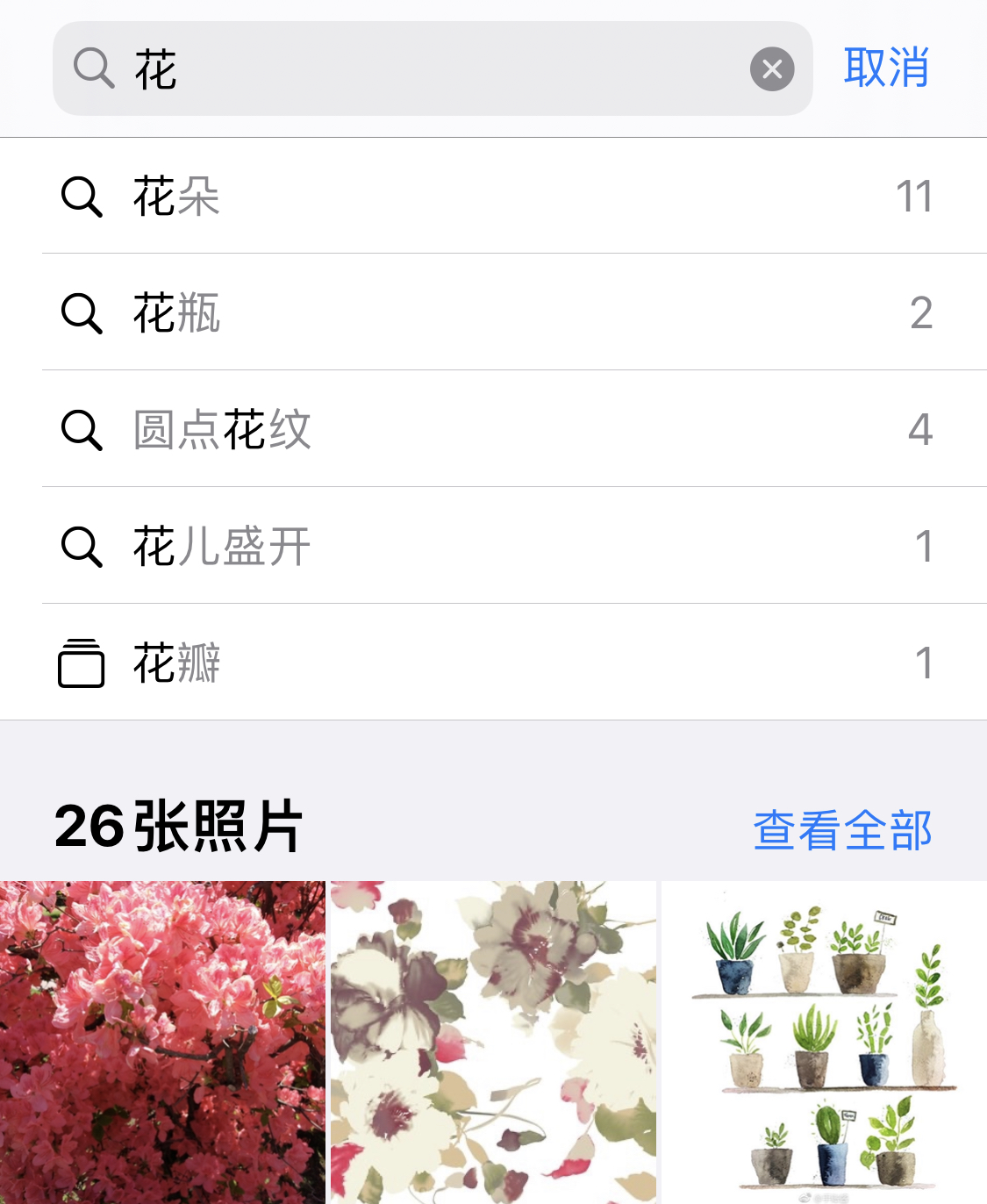 泸州苹果手机维修分享iPhone 小技巧 